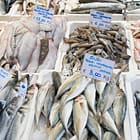 Fresh fish from the Varvakeio Municipal Market