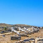 Lions of Delos